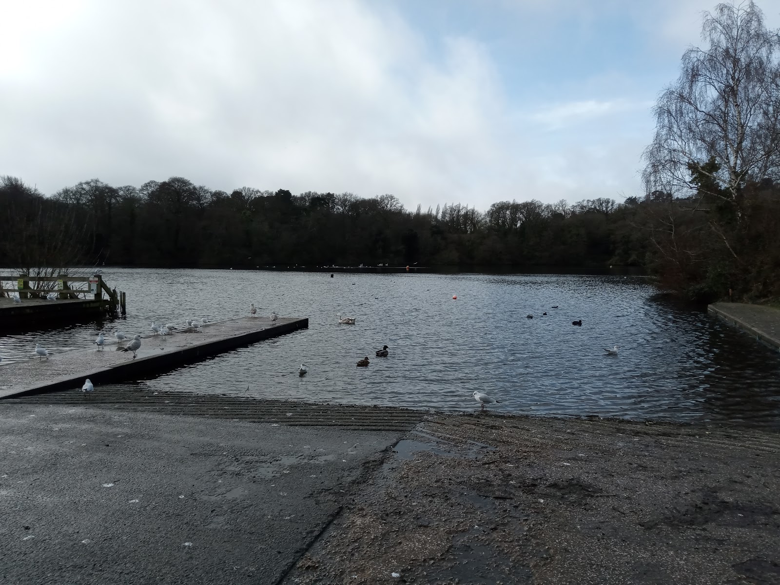 https://whatremovals.co.uk/wp-content/uploads/2022/02/Decoy Country Park-300x225.jpeg